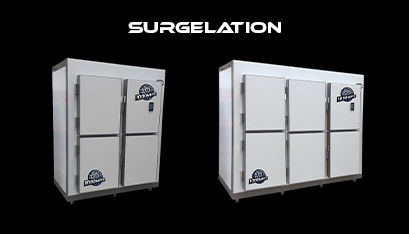 SURGELATION